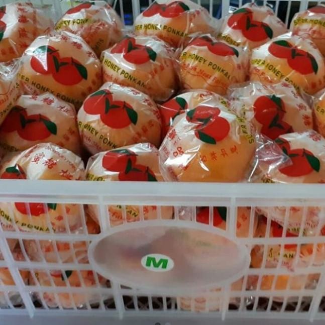 

Grosir Buah Jeruk Honey Ponkan Per Keranjang