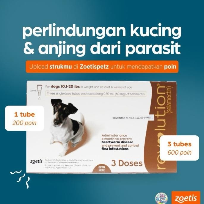 REVOLUTION CAT / REVOLUTION DOG / REVOLUTION TEAL / REVOLUTION BLUE