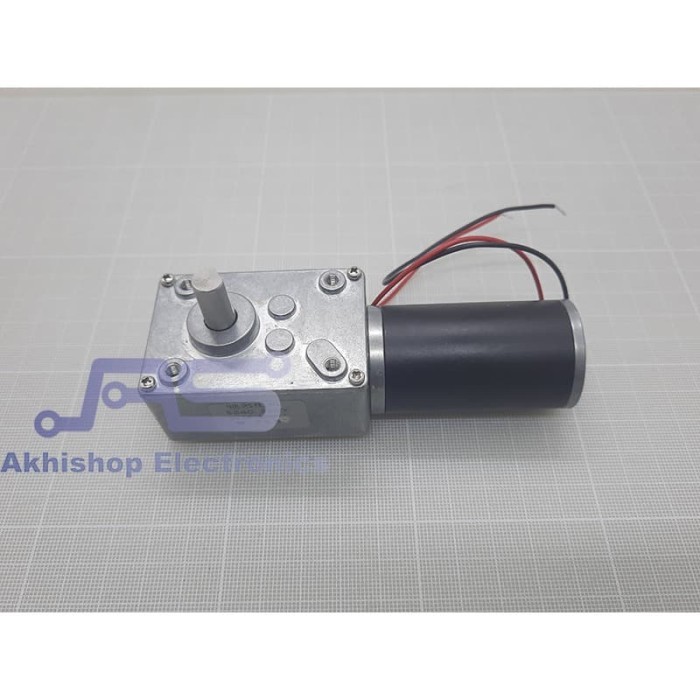 Permanent Magnet Worm Gear Motor DC 4058GW31ZY 24V 40RPM