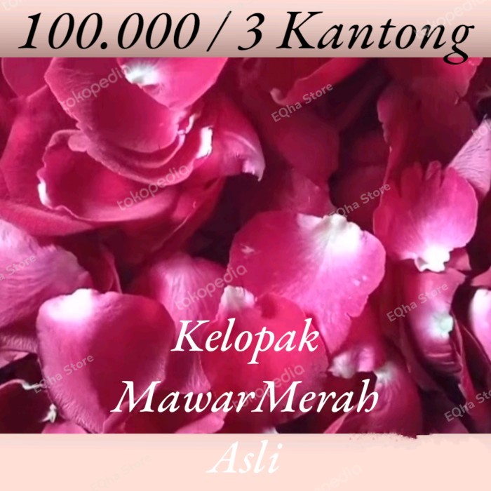 kelopak bunga mawar merah asli termurah red rose petals