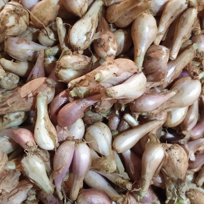 

BAWANG SUMENEP / BAWANG GORENG SEGAR 500GR ORIGINAL