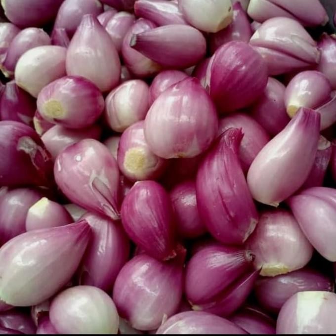 

BAWANG MERAH KUPAS 250 GR ORIGINAL
