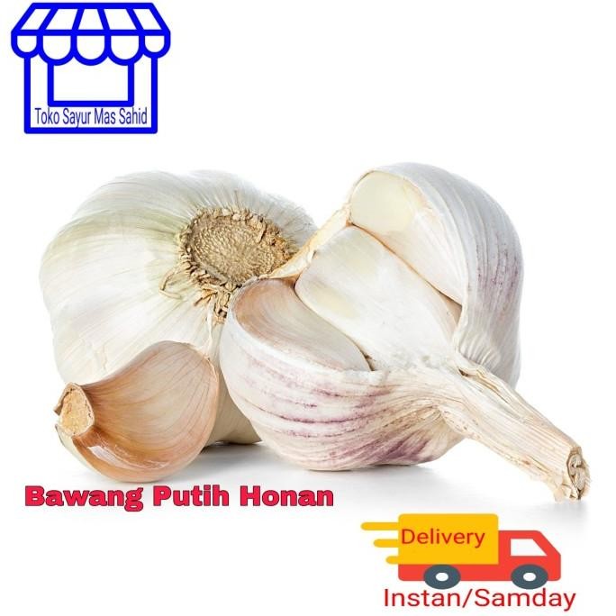 

BAWANG PUTIH GARLIC 500 GRAM ORIGINAL