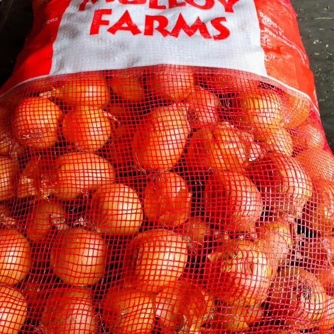 

JUAL BAWANG BOMBAY KECIL KARUNGAN (+- 20 KG ) ORIGINAL