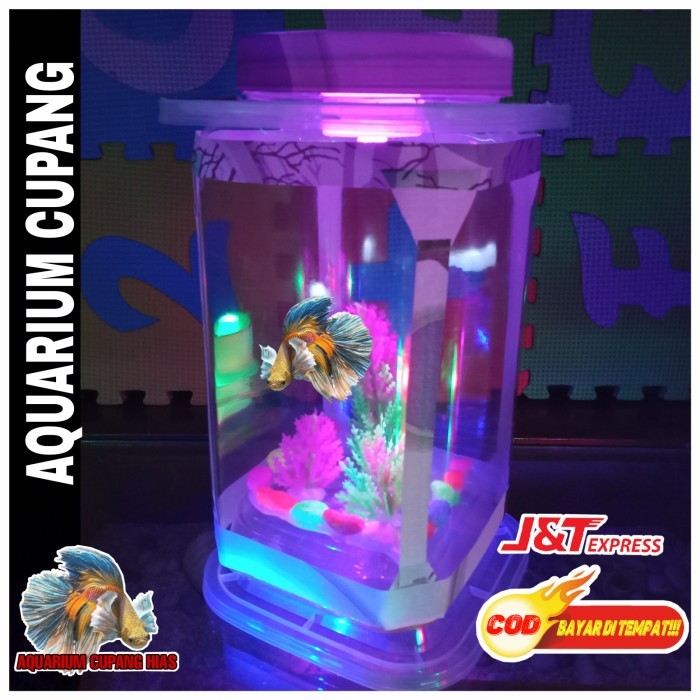 GRATIS ONGKIR Aquarium Ikan cupang Hias Mini Akuarium Cupang Kamar hias Lampu warna