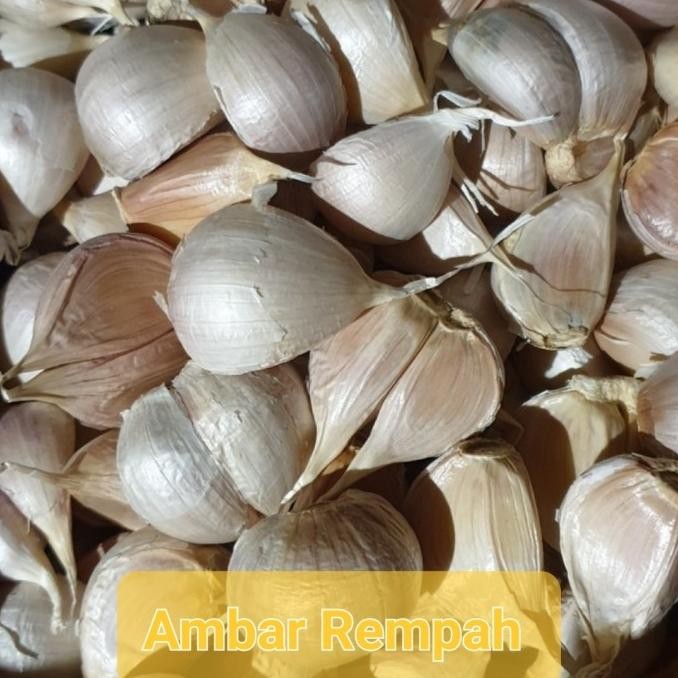 

BAWANG PUTIH KATING 1000GR ORIGINAL