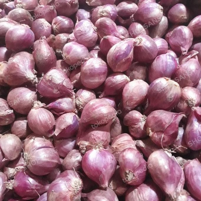 

BAWANG MERAH ORIGINAL
