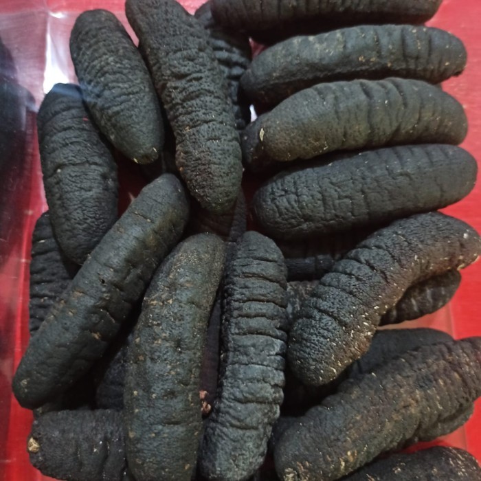 teripang kering/ haisom kering/gosok/belitung size 40ekor dalam 500gr