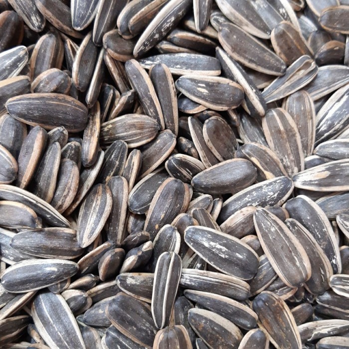 

1Kg Kwaci Bunga Matahari