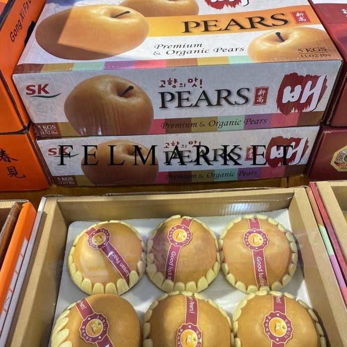 

Pear Singo Korea JUMBO Organic & Premium Isi 6 Pcs/Hampers Buah Imlek