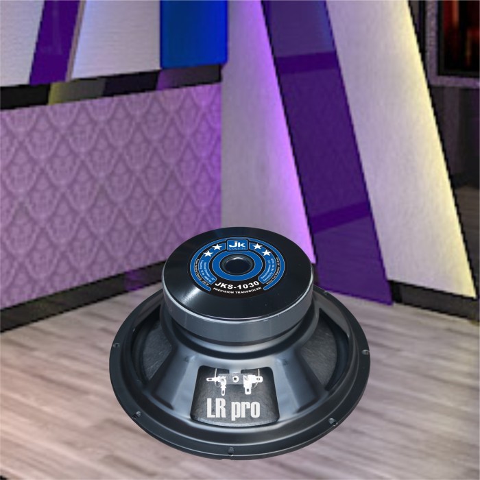 Speaker component 10 inch Jk coustic JKS 1030