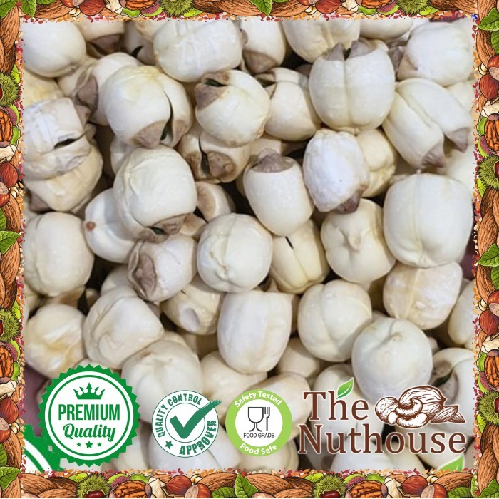 

JUAL 1kg White Lotus Seeds / Biji Bunga Teratai / Lian Zi [PREMIUM]