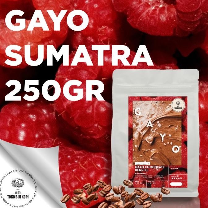

Kopi Arabika Gayo Chocolate Berries - Roasted Bean Aceh Gayo 250 Gram