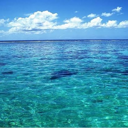 Air laut untuk aquarium 1000L / Delivery air laut / Jual air laut