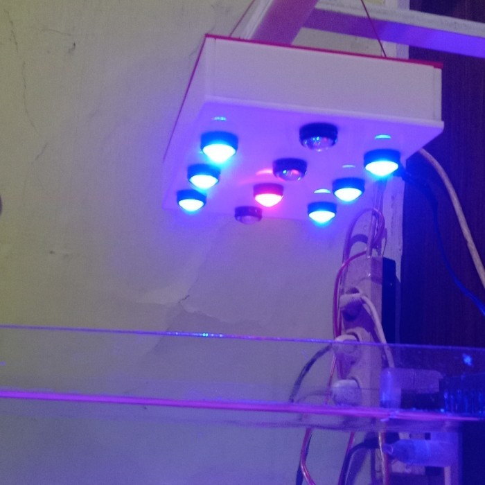 Lampu aquarium laut nano