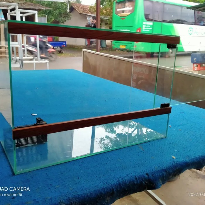 paludarium vivarium aquarium