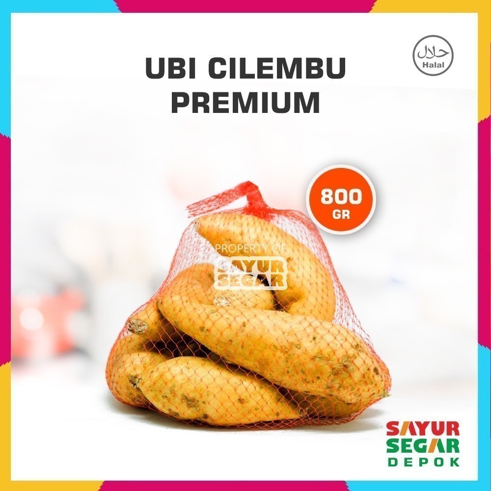 

UBI CILEMBU PREMIUM [800g] FRESH