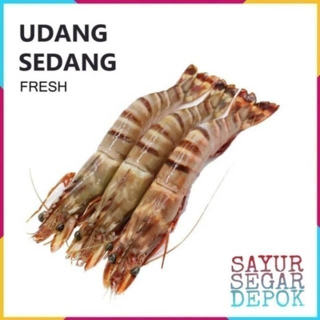 

UDANG SEDANG 250 GRAM