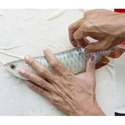 scanner reader chip microchip rfid hewan pet ikan reptil arwana kadal ternak ayam kucing anjing kuda