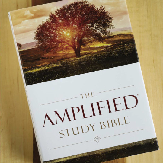 

Alkitab The Amplified Study Bible Large Print New Edition Hardcover