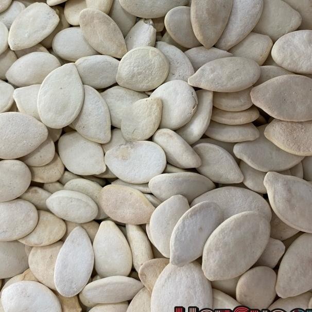 

Uaci Putih Aci Putih Labu Pumeed 12 G Gram