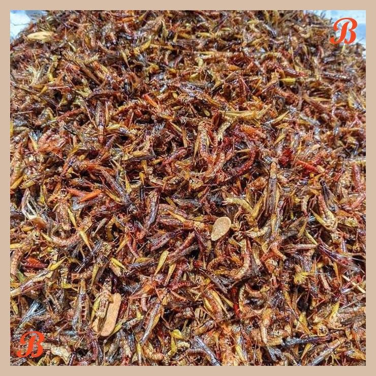

| NS | WALANG GORENG, BELALANG GORENG UTIS/PADI TOPLES NASTAR BERAT -+120GRAM RENDAH LEMAK PEDAS FOOD