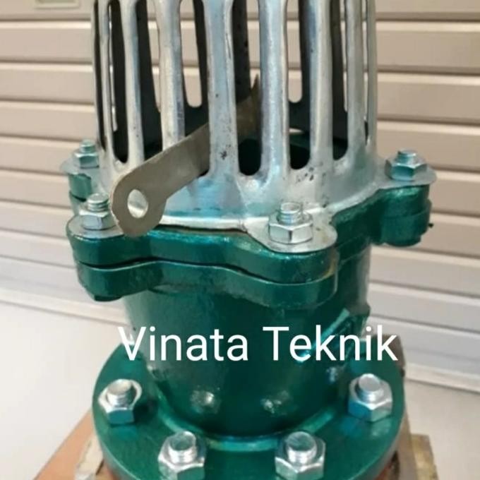 Foot Valve 8 Inch Dn 200 Mizu Cast Iron Jis 10K Flange Foot Klep Good