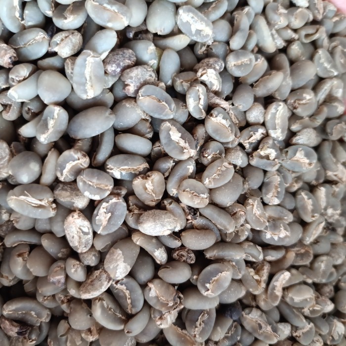 

Green Bean Gayo Arabika Wet Hulled
