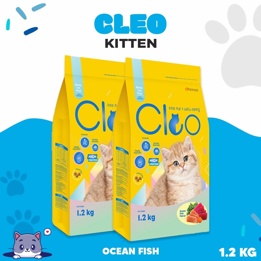 CLEO KITTEN OCEAN FISH - Makanan Kucing Kitten