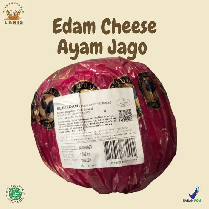 

Edam Keju Ayam Jago Mas