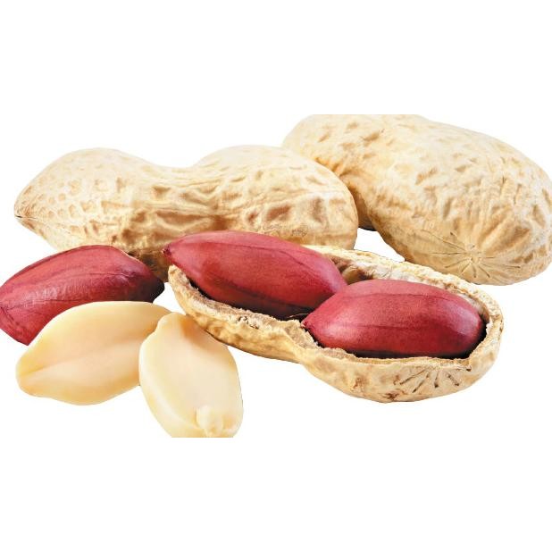 

KACANG TANAH KUPAS BERSIH IMPORT 1 KG JUMBO IMPORT- 25/29