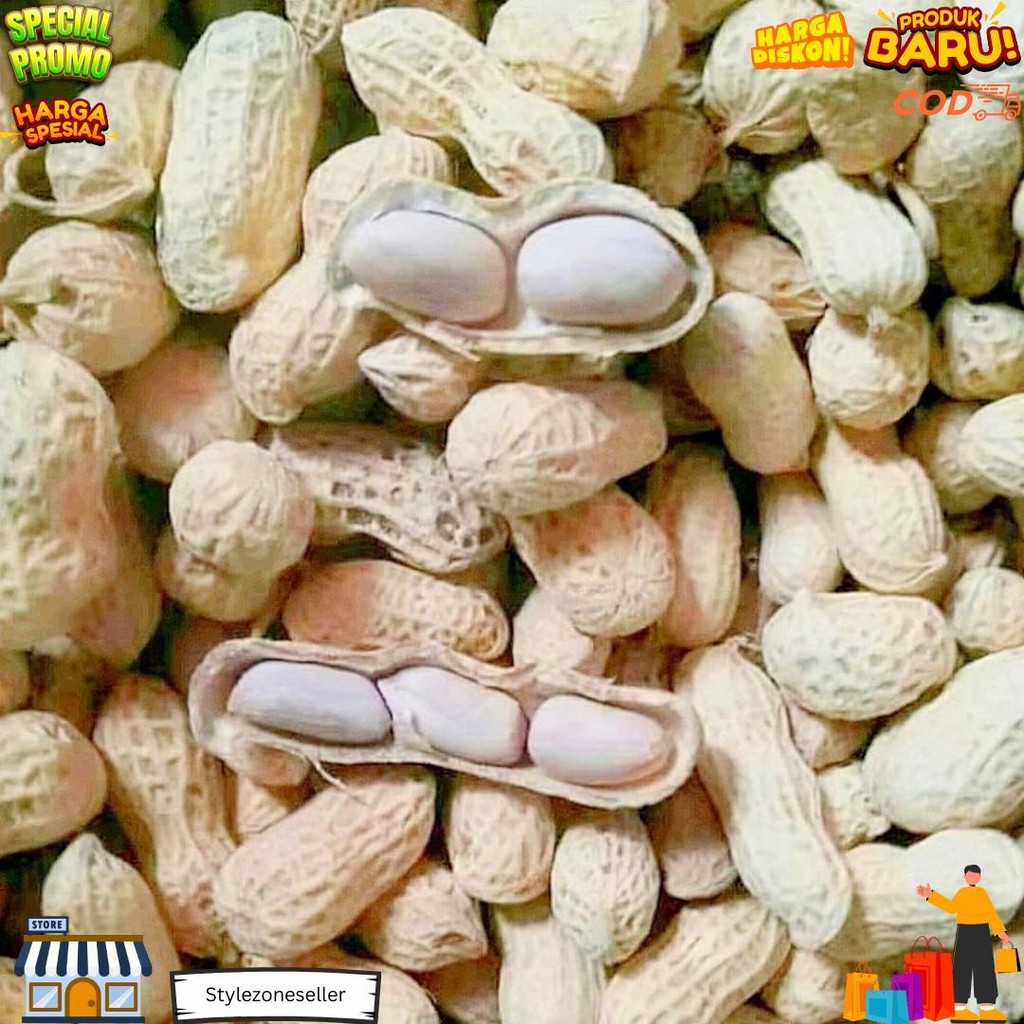 

Kacang Kulit Oven Kualitas Super Asin Renyah Cemilan Snack Kiloan D Promo Puncak