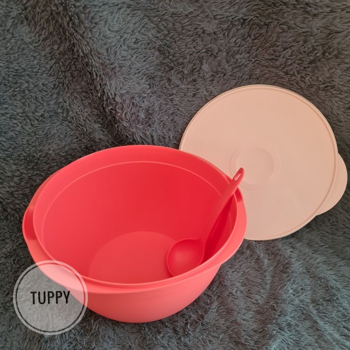 Legacy Bowl 10 L Baskom Tupperware with Laddle