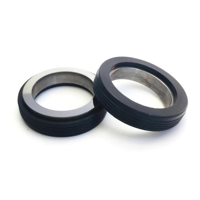 

Stationary mechanical seal sic