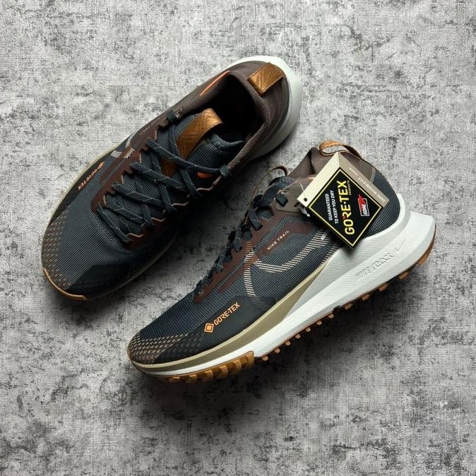 Sale Sepatu Running Nike Pegasus Trail 4 Goretex Brown Fd5841-001