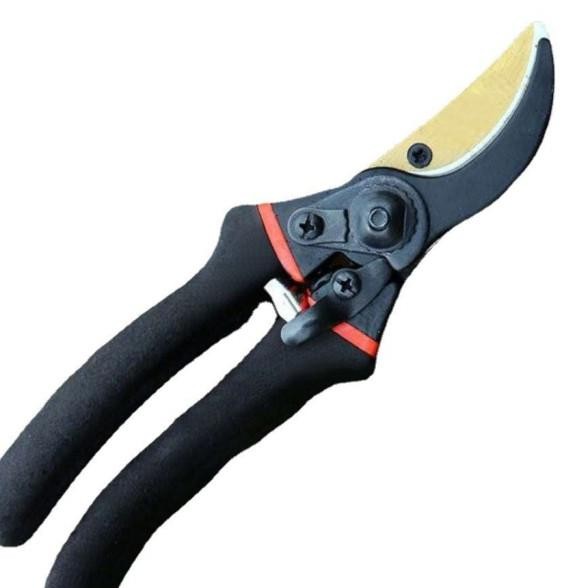 Gunting Dahanrantingtamante Ratchet Pruning Hear Cior Baja