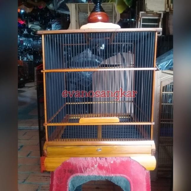 Andang Burung Pleciciblejinaan Wambi.