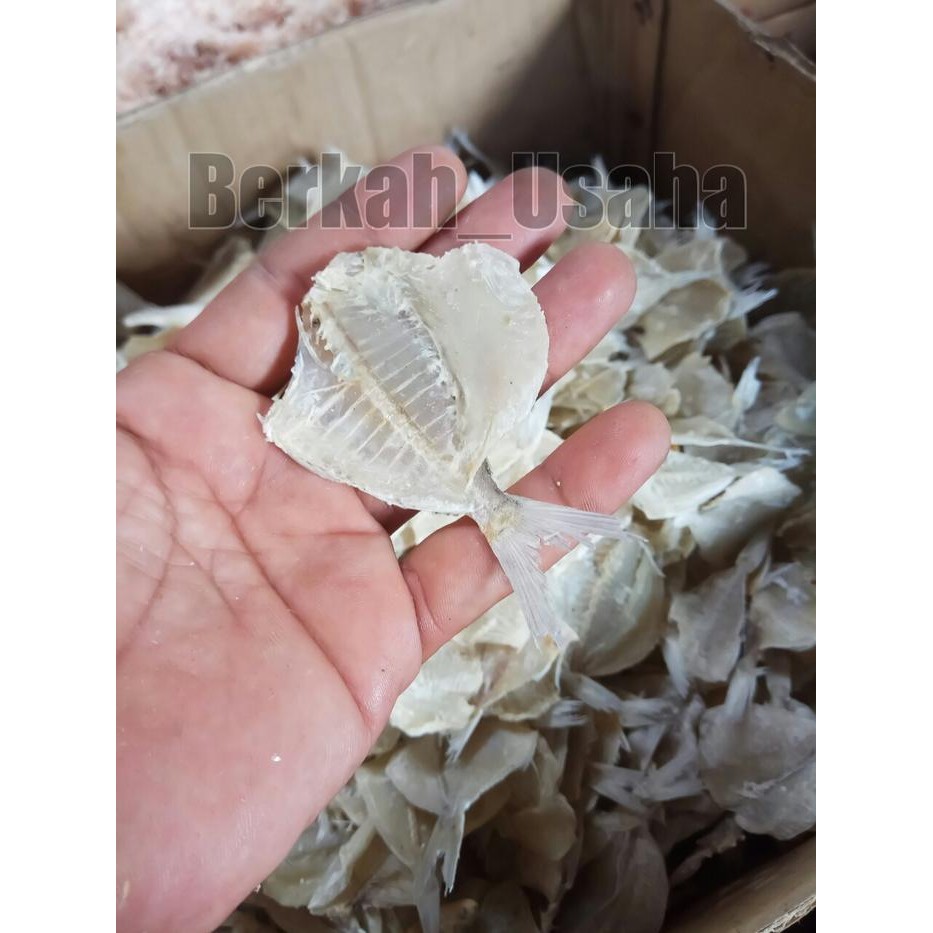 

Promo IKAN ASIN TIPIS PAKANG KAPASAN KERING FRESH 1kg MURAH GROSIR Ready
