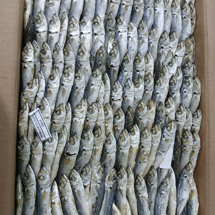 

Sale Ikan Layang Tawar Khas Medan 1kg 65.000 Ready