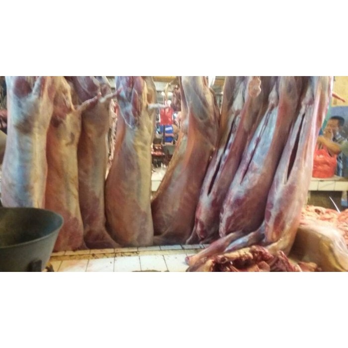 

KAMBING MUDA 8KG