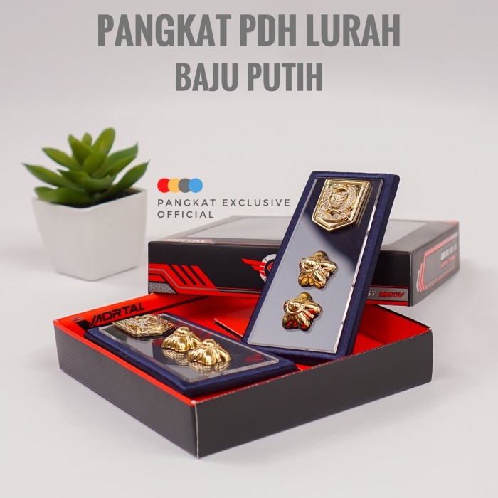 Town Pangkat Pdh Lurah Baju Putih