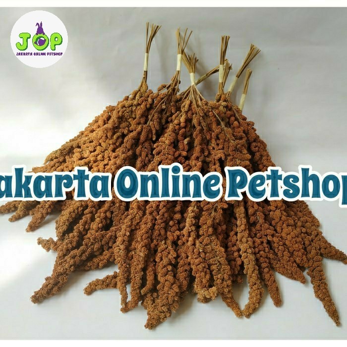 SPRAY MILET JEWAWUT TANGKAI MERAH 1KG KODE 105