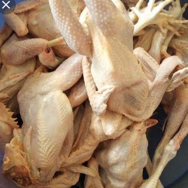 

READY AYAM PEJANTAN