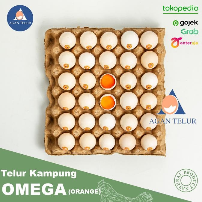 

READY TELUR AYAM KAMPUNG OMEGA LOKAL / 30 BUTIR