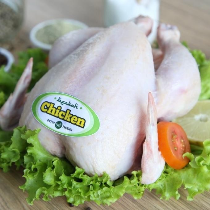 

READY AYAM PROBIOTIK BERKAH CHICKEN, 900-1000GR, UTUH, BELUM DIPOTONG-POTONG