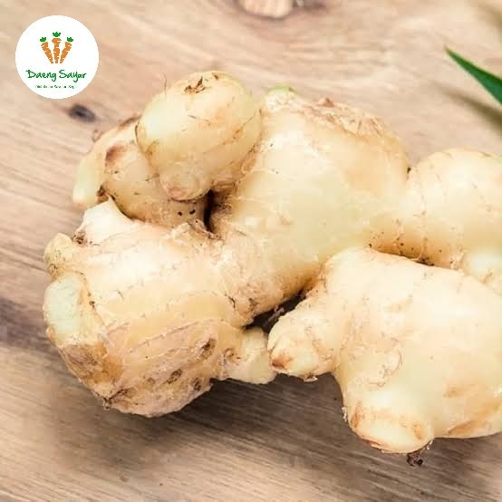 

Jahe Gajah Asli - 250gr