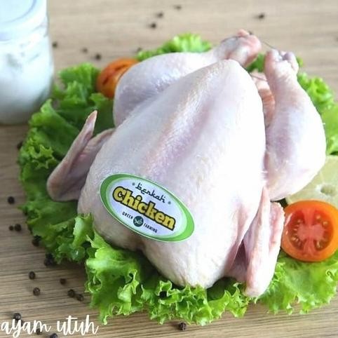 

READY AYAM BERKAH ORGANIK PROBIOTIK 800-900GR UTUH