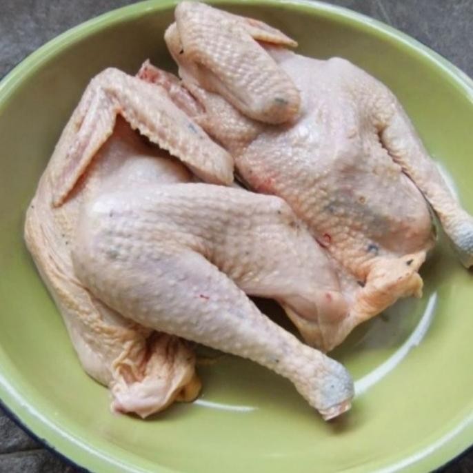 

READY AYAM KAMPUNG HIDUP SEGAR 800 - 900 GRAM