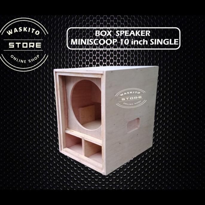 CO Box Speaker Miniscoop 10 Inch Single