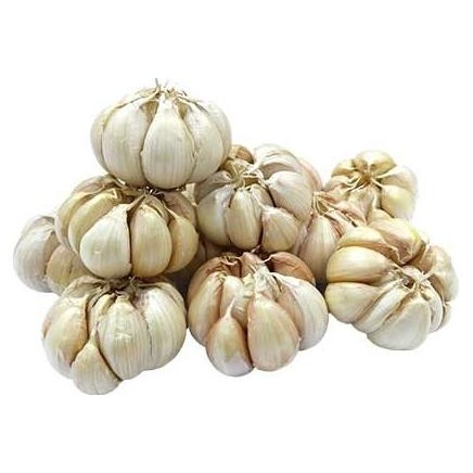 

] Bawang Putih Honan Segar / Henan / Banci Bersih / Garlic Cleaned Fresh